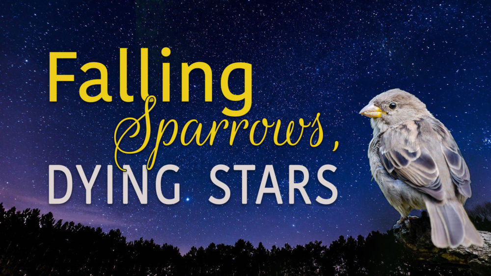 Falling Sparrows, Dying Stars Image