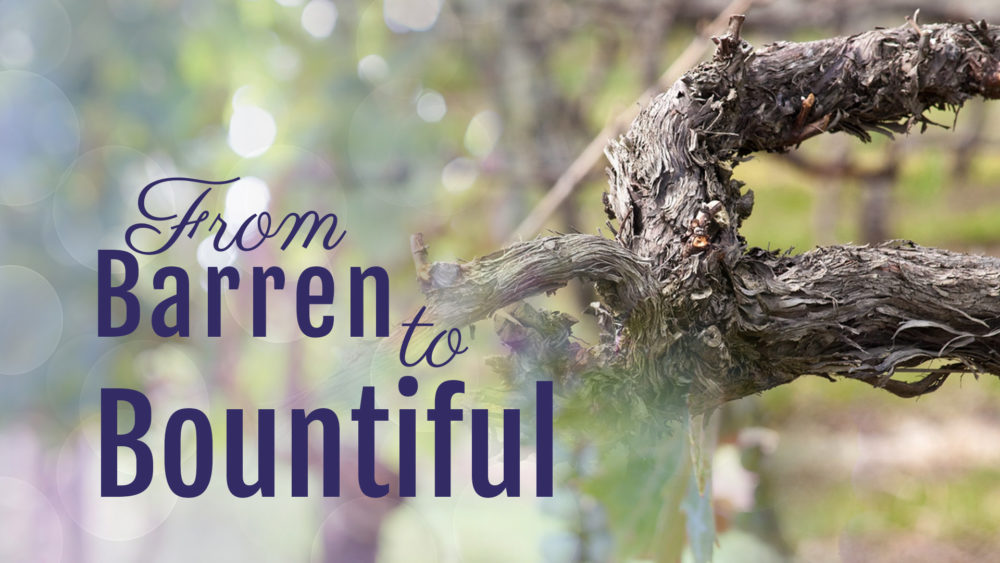 What Matters Most: From Barren to Bountiful (2 of 5) Image