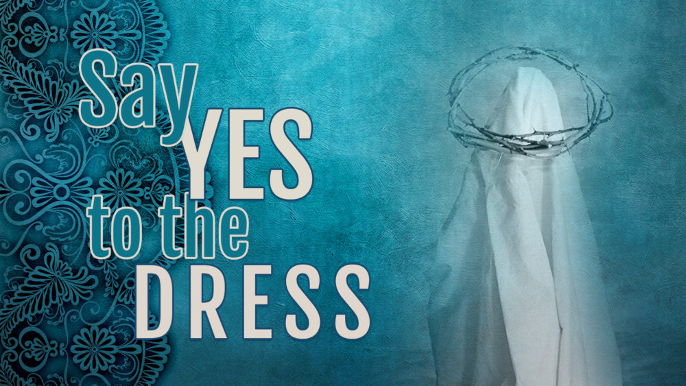 Say Yes To The Dress Image