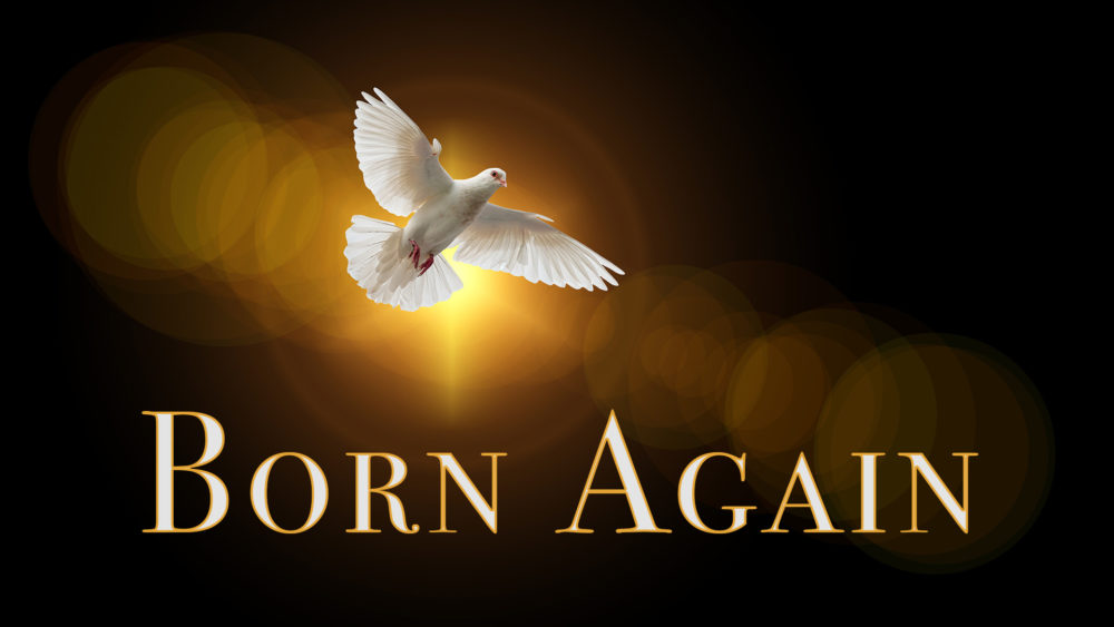 Born Again Image
