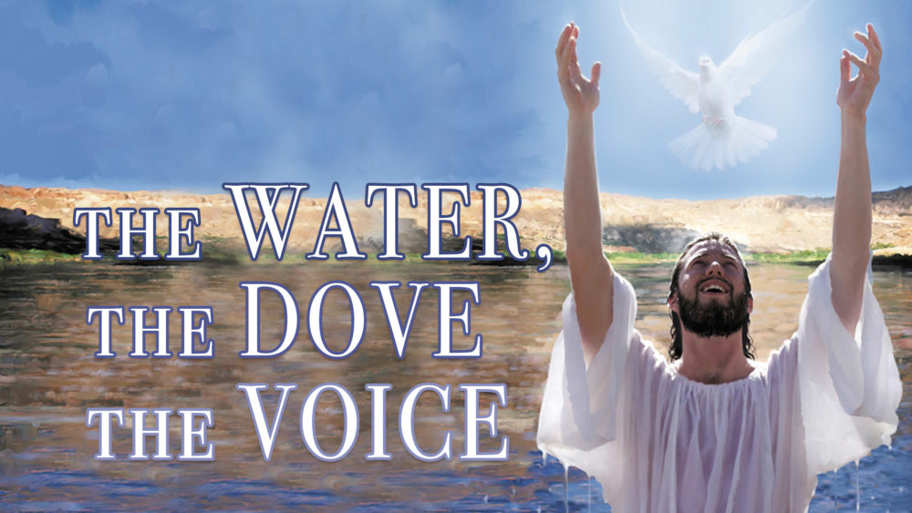 The Water, The Dove, The Voice Image
