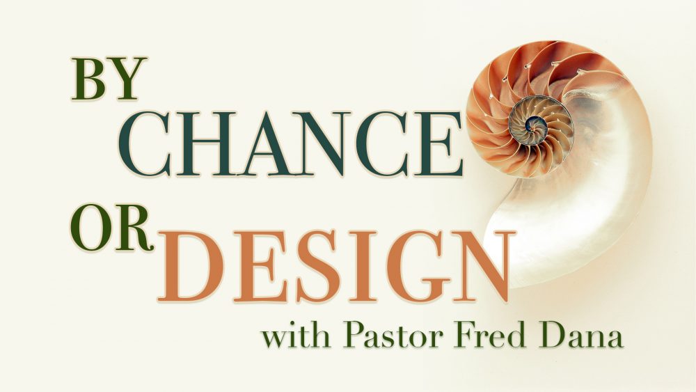 By Chance Or Design? Image