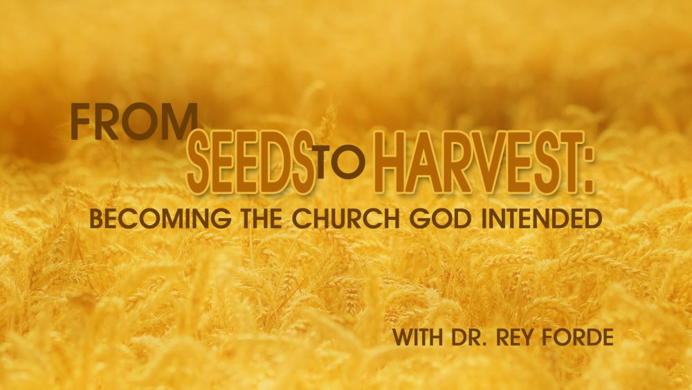 From Seeds To Harvest: Becoming The Church God Intended